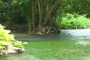 river2.jpg