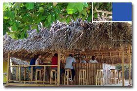 bar1.jpg
