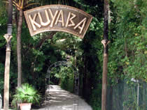 kuyabasign.jpg